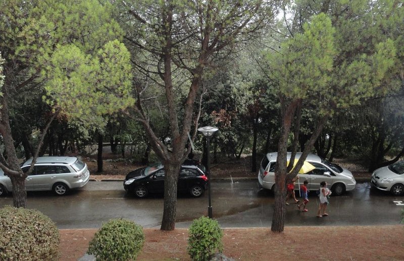 DSC00789 00.JPG - A hét alatt egyszre esett , egy órát.... ennyi volt.